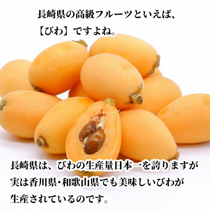 長崎 香川 和歌山県産びわ250g 2パック 長崎県が誇る高級フルーツ Rakuten ジューシーな果実に上品な甘さ 手で簡単に皮がむける
