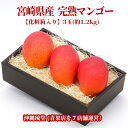 宮崎県産 完熟マンゴー3玉(約1.2kg)贈り物 ギフト 熨斗 のし お誕生日 お中元 御中元 御歳暮 御年賀 御祝 内祝 入学祝 法事 御供 御霊前 御仏前 快気祝 お見舞 出産祝 手土産 結婚祝 プチギフト