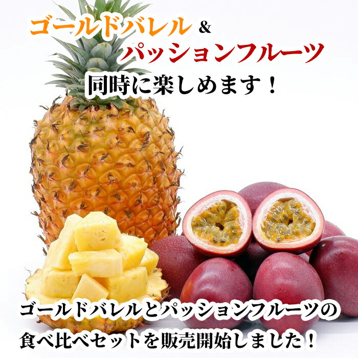 【全国送料無料】沖縄県産ゴールドバレル3.3kg(2～4玉)＆パッションフルーツ1.4kg(...