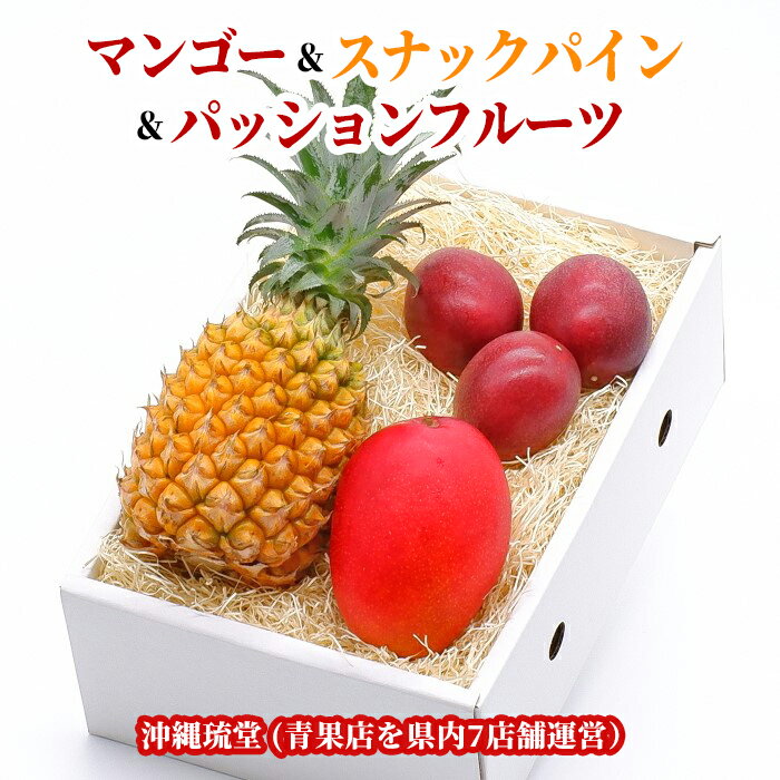 【ギフト最大限対応・化粧箱入り】沖縄県宮古島産アップルマンゴー1玉＆スナックパ...