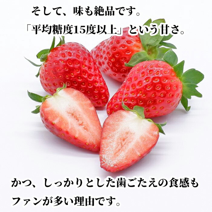 新色追加して再販-風と光 28品目不使用ヴィーガ•ンレトルトカレー 180g