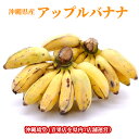 沖縄県産アップルバナナ【即発送可・送料無料】