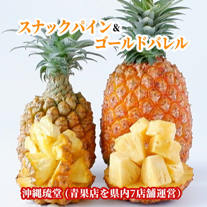 【送料無料・即発送可】沖縄県産スナックパイン＆ゴールドバレル食べ比べセット1.2...