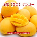 【全国送料無料】沖縄県産 金蜜【黄金】マンゴーフルーツ 果物 お中元 お歳暮 ギフト 贈り物 父の日 母の日 出産祝 手土産 結婚祝 プチギフト 新鮮直送