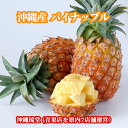【送料無料・即発送可】沖縄県産パイナップル(パインアップル) 1kg以上(1〜2玉)パイン パイナップル 沖縄 フルーツ 果物 盛り合わせ お中元 お歳暮 ギフ...