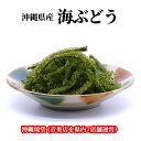 【全国送料無料】沖縄県産 大粒・生 海ぶどう(おもろ海産)