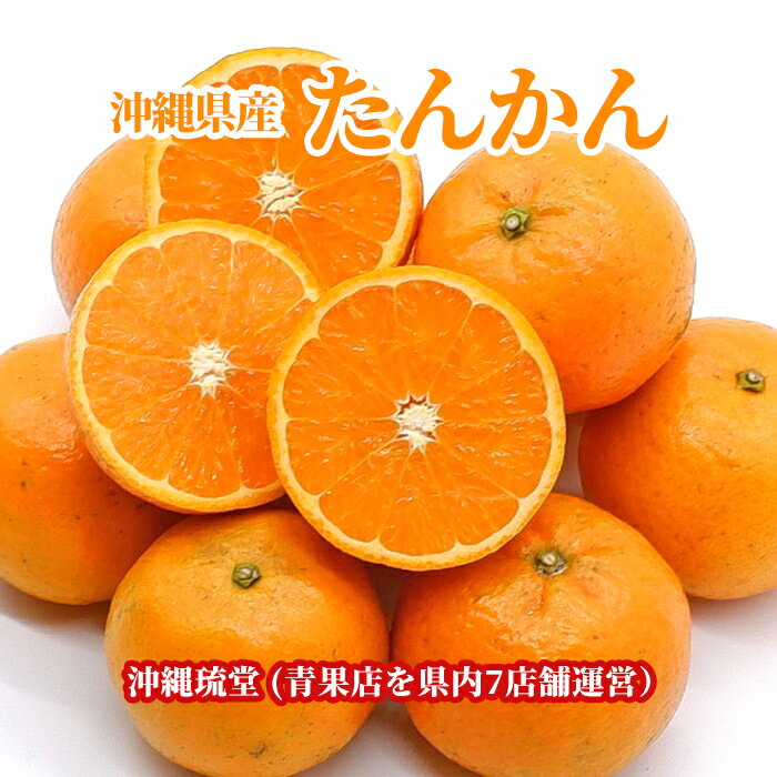 【即発送可・全国送料無料】沖縄県産たんかん3kg【冬季限定出荷】柑橘類の王様 沖縄 冬 みかん タンカン 無添加 沖縄フルーツ【楽天ショップ・オブ・ザ・マンス2024年7月度 沖縄県賞受賞！】のサムネイル