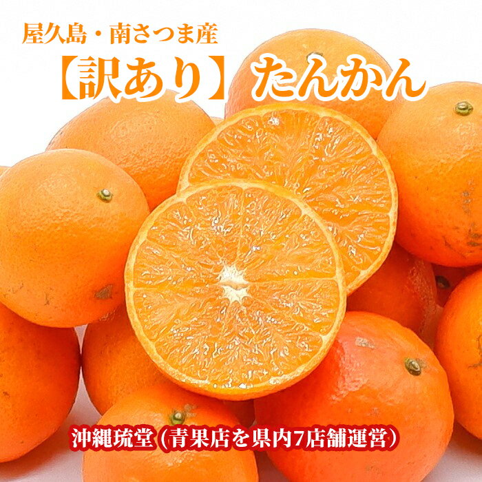 【全国送料無料】屋久島・南さつま産【訳あり】たんかん5kg【冬季限定出荷】柑橘類の王様 爽やかな香りとジューシーな果汁で人気 3月頃までの冬季限定出荷のサムネイル