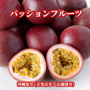 【ランク1位獲得!送料無料】沖縄県産パッションフルーツ1箱(8〜12玉)無添加 沖縄 フルーツ ギフト 贈答品 内祝い お中元 お歳暮 父の日 母の日 熨斗 対...