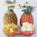 【ランク1位獲得!送料無料】沖縄県産スナックパイン&ピーチパイン食べ比べセット2.4kg以上(各2玉ずつ)スナックパイン ピーチパイン パイナップル 無添加 沖...
