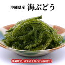 【全国送料無料】沖縄県産 大粒・生 海ぶどう【大容量】(おもろ海産)