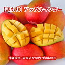 【ランク1位 二冠を獲得!】沖縄県産【訳あり】アップルマンゴー1~3玉(600g以上)【即発送可・送料無料】国産 沖縄 訳あり マンゴー 冷蔵便