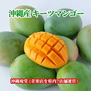 沖縄県産キーツマンゴー(幻のマンゴー) 1~2玉(1kg以上)【即発送可・送料無料】フルーツ 果物 盛り合わせ お中元 お歳暮 ギフト 贈り物 父の日 母の日 出産祝 手土産 結婚祝【楽天ショップ・オブ・ザ・マンス2024年7月度 沖縄県賞受賞!】 新鮮直送