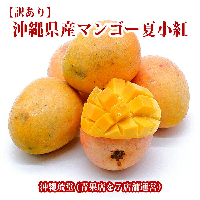 【送料無料・即発送可】沖縄県産【訳あり】マンゴー夏小紅 新鮮直送