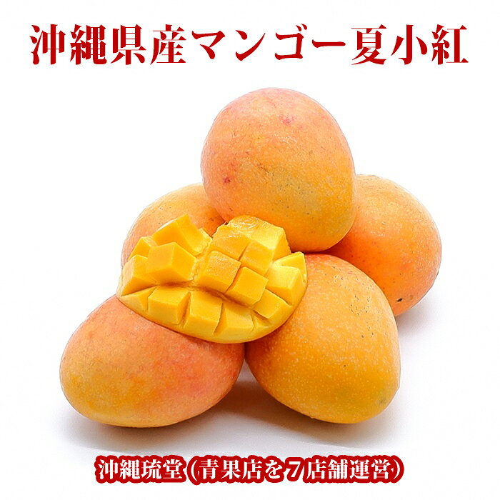 【送料無料・即発送可】沖縄県産マンゴー夏小紅フルーツ 果物 お中元 お歳暮 ギフト 贈り物 父の日 母の日 出産祝 手土産 結婚祝 プチギフト 新鮮直送