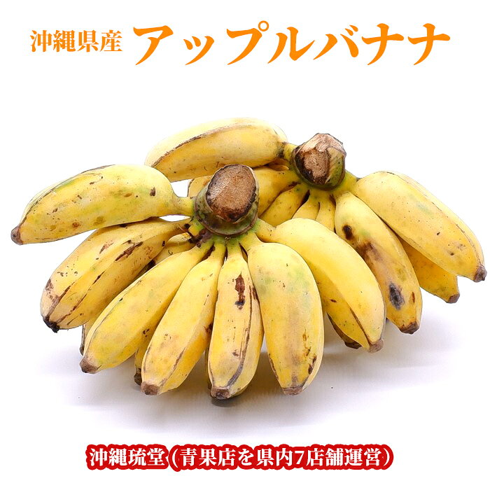 【即発送可・送料無料】沖縄県産アップルバナナフルーツ 果物 お中元 お歳暮 ギフト 贈り物 父の日  ...