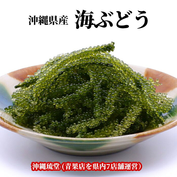 【全国送料無料】沖縄県産 大粒・生 海ぶどう【大容量】(おもろ海産)