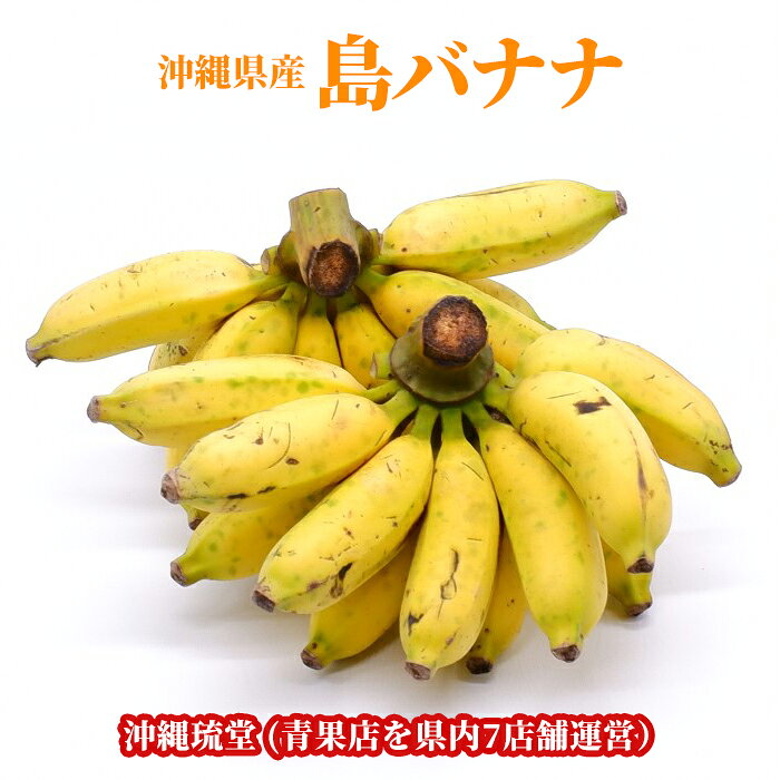 【即発送可・送料無料】沖縄県産 島バナナフルーツ 果物 お中元 お歳暮 ギフト 贈り物 父の日 母の日 出産祝 手土産 …