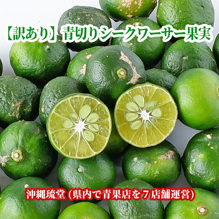 【訳あり】沖縄県産 青切りシークワーサー果実5kg【送料無料・即発送可】沖縄 国産 フルーツ シークアーサー シークワァサー新鮮直送