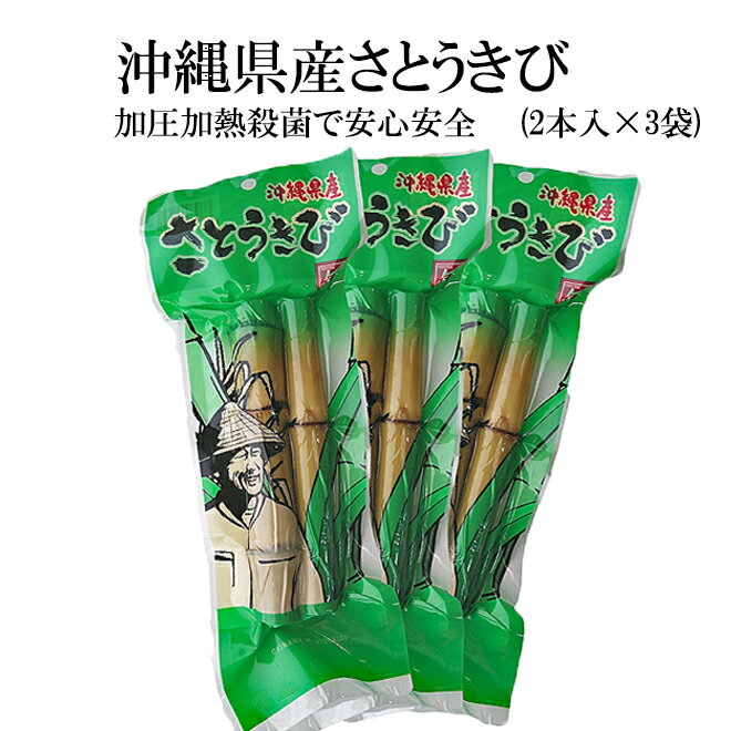 沖縄県産さとうきび 食用2本×3袋(無添加)レトルト 殺菌済み 黒糖 ざわわ サトウキビ ギフト プレゼント