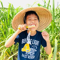 【送料無料】さとうきび3袋