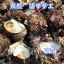送料無料 サザエ 1個90g前後 3K（30個～38個) 朝獲れ 鳥取県産 素潜り漁師 つぼ焼き お刺身