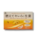 【最大10倍 マラソン 優待 ポイントUP】【在庫限り】伊段 燃えてキレイに生姜オイル 温活(405mg×60カプセル)期限2025.11