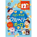 ユニマットリケン ベビーキッズ ブルーベリーボーロ 60g(15g×4袋)