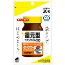 コエンザイムQ10 アクティブメルト（チュアブル） グリーンアップル 30mg 90粒 KAL（カル）エイジング 老化 美容 燃焼