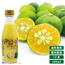 ちむどん 山原 シークワーサー 300ml 12本セット 原液 おきなわ やんばる 沖縄産 シークヮーサー 果汁100% ジュース ストレート シークアーサー ...