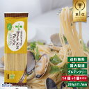 オーガニック 米粉麺 送料無料 米粉 麺 無添加 オーガニック米 こめ粉 グルテンフリー 玄米麺 1袋×2 有機米 と 有機野菜 じゃがいも 使用