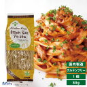 【お得なレビューキャンペーン実施中！】グルテンフリー 米粉 国産 パスタ スパゲッティ フィットチーネ 麺 アレルギー 置き換え おいしい PLUS グルテンフリーブラウンライスパスタ フェットチーネ 80g 玄米 幅9.5mm