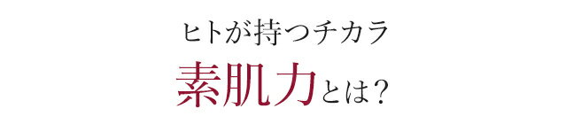 肌づくり