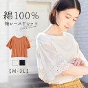 半袖 半そで 5分丈 Tシャツ 綿100% 袖レース切替Tシャツ RyuRyu服 トップス Viola e Viola ヴィオラ ryuryu リュリュ