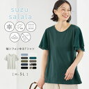 Viola e Viola（ヴィオラ エ ヴィオラ）【WEB限定】Tシャツ 接触冷感 【新色追加】【5つの機能付】袖シフォンTシャツ(M～5L) 30代 40代 レディース トップス シャツ ひんやり