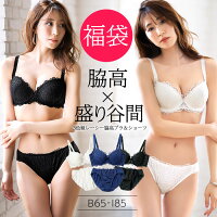 【福袋】【6点セット】レーシー脇高スッキリブラ＆ショーツ(B65M〜E85LL) リュリュ インナー 下着 大きいサイズ ブラジャー ショーツ 可愛い 3/4カップ ワイヤー入り 脇高ブラ 脇高 脇肉 上下セット 谷間 盛れるブラ