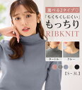 2024秋冬 秋 冬 ニット 長袖 クルーネック 洗える もっちりタッチ ニットプルオーバー 服 トップス alotta アロッタ ryuryu リュリュ