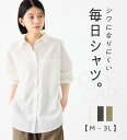2024秋冬 シャツ イージーケア RyuRyu 秋 秋冬 Viola e Viola ヴィオラ ryuryu リュリュ