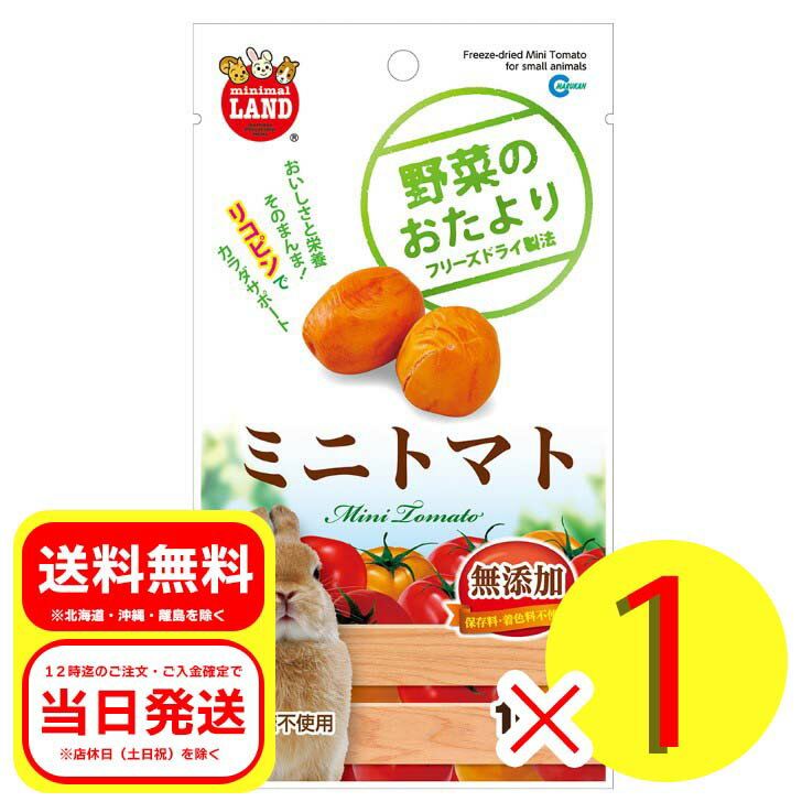 マルカン 野菜のおたより ミニトマト 10g 砂糖不使用 フード おやつ ウサギ 補助食品 ハムスター リス チンチラ ML-82