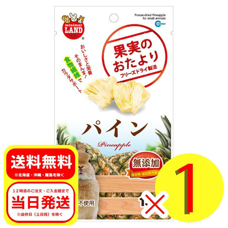 マルカン 果実のおたより パイン 15g 小動物 おやつ ウサギ 補助食品 ハムスター リス チンチラ モルモット ML-85