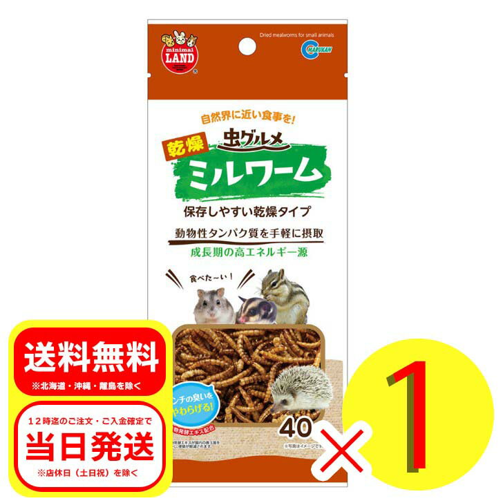 マルカン 虫グルメ 乾燥ミルワーム 40g 小動物 フード 栄養 ハムスター 補助食品 リス ML-166