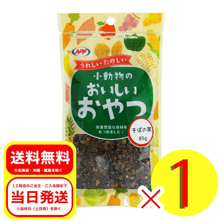 ナチュラルペットフーズ 小動物のおいしいおやつ そばの実 85g ハムスター デグー 中型インコ