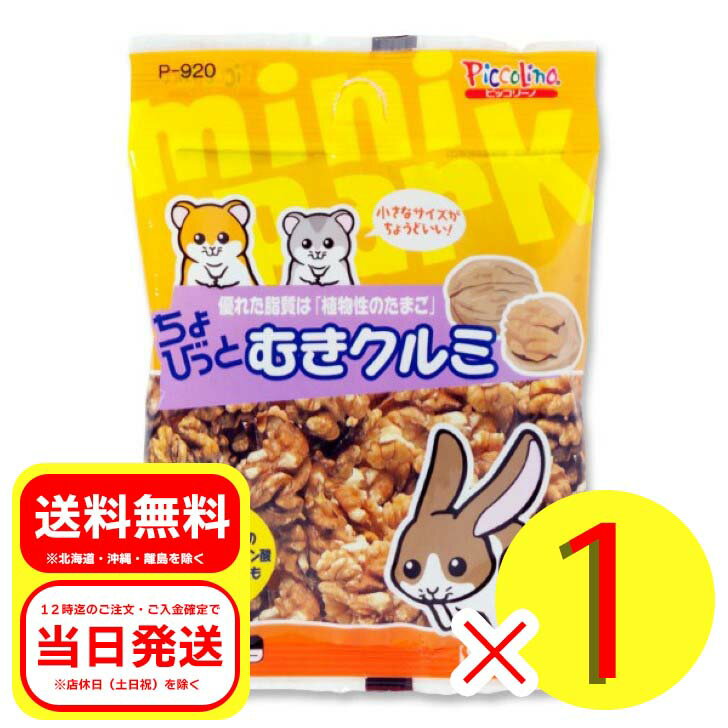 乐天商城 - スドー ちょびっとむきクルミ 12g おやつ ハムスター ウサギ
