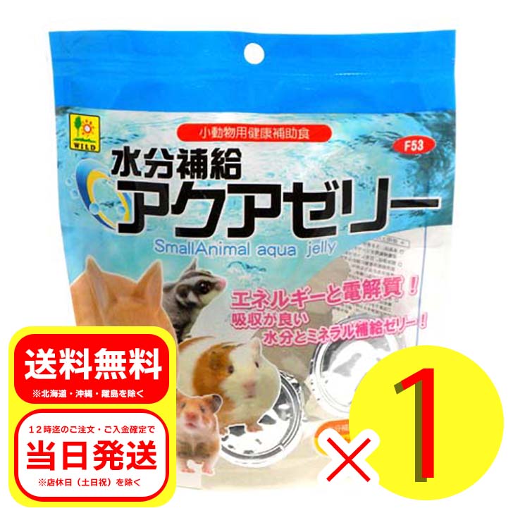 Rakuten - 三晃商会 水分補給 アクアゼリー 16g×10個 小動物用健康補助食品 フード 栄養 ハスムター ウサギ モルモット モモンガ F53