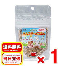 黒瀬ペットフード ハムスターのごはん 40g 自然派宣言 栄養補助食 カナリアシード あわ きび ひえ 穀物 KP-41