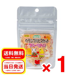 黒瀬ペットフード クランブルビスケット フルーツ入り 20g 自然派宣言 栄養補助食 小鳥 ハムスター 小動物 エサ 餌 フード おやつ KP-86