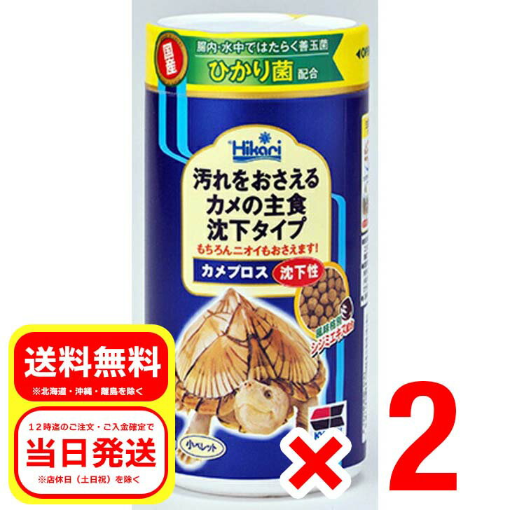 2ĥå 硼 ץ  ڥå 120g 򤪤륫μ翩  ξ ա ɥ饤 ˥ ץ...