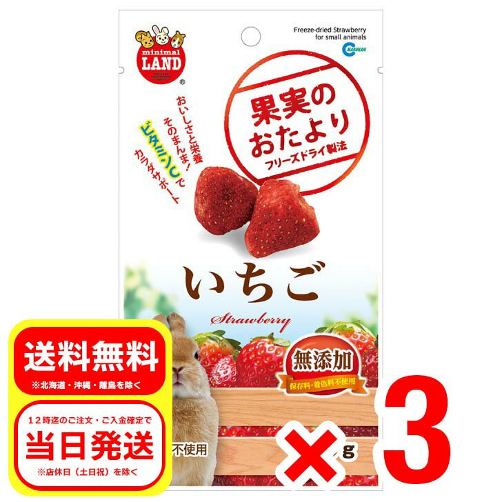 3個セットマルカン果実のおたよりい...