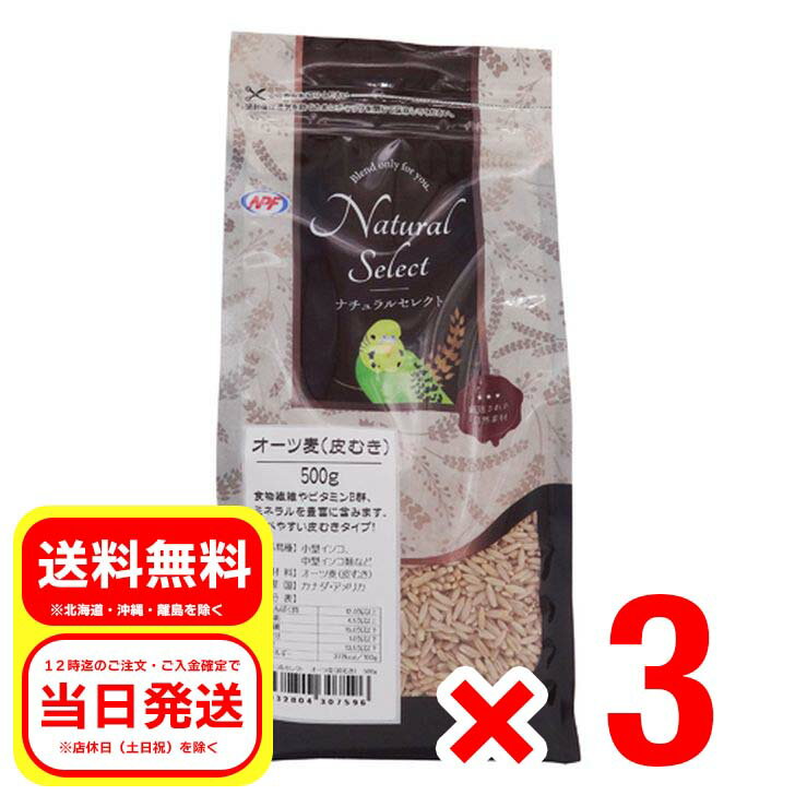 3個セット ナチュラルペットフーズ ナチュラルセレクト オーツ麦（皮むき） 500g 小型インコ 中型インコ 小鳥 エサ フードのサムネイル