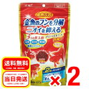 2個セット ジェックス GEX 金魚元気 プロバイオフード 色揚げ 220g 浮上性 顆粒タイプ 善玉菌&天然色揚げ成分配合 フード